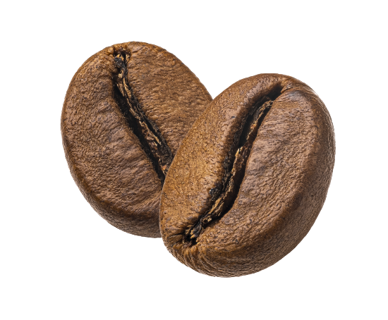 27745907 829 111 removebg preview